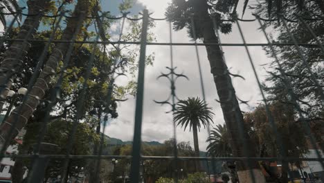 Towering-Tropical-Trees-Behind-Metal-Fence-In-The-City-Square-Of-BaÃ±os-de-Agua-Santa-In-Ecuador