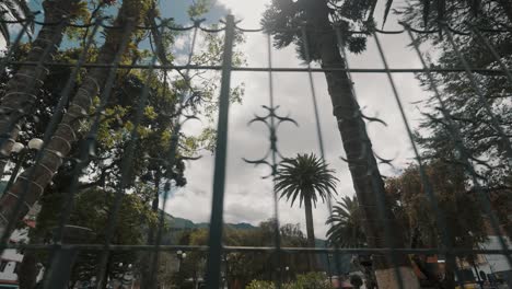 árboles tropicales altos detrás de una valla metálica en la plaza de la ciudad de baños de agua santa en ecuador