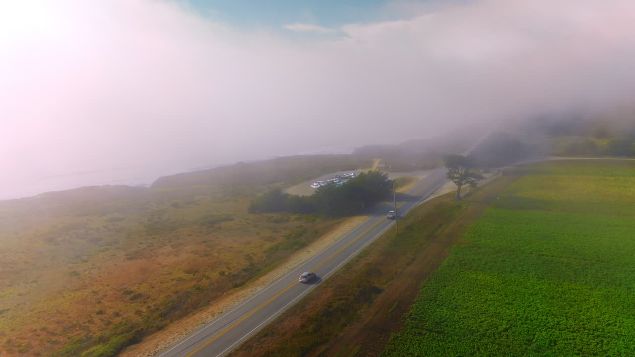 Coastal Road in Fog