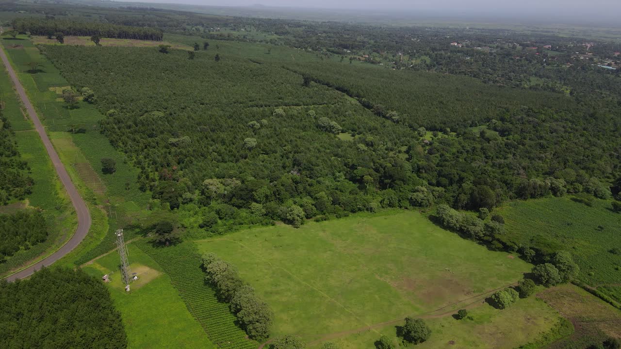 zona boscosa y camino sinuoso a la izquierda en áfrica, en el sur de kenia