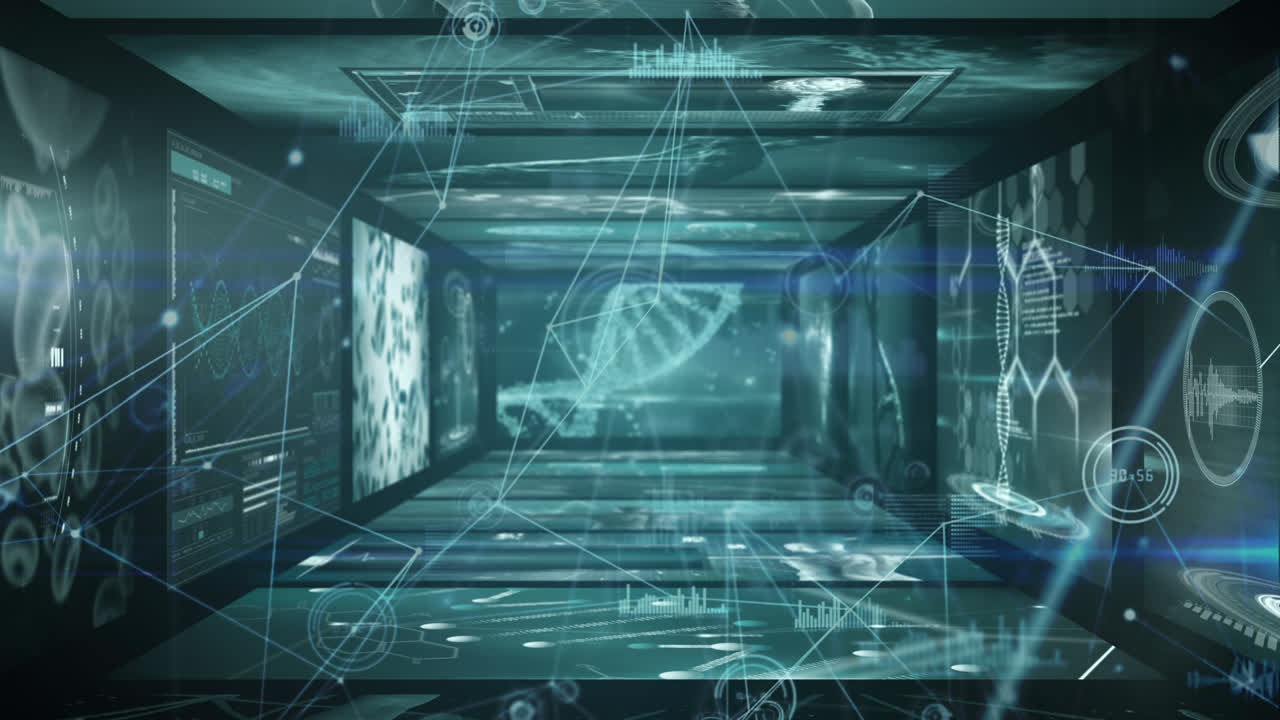 animación de la red de conexiones a través del procesamiento de datos