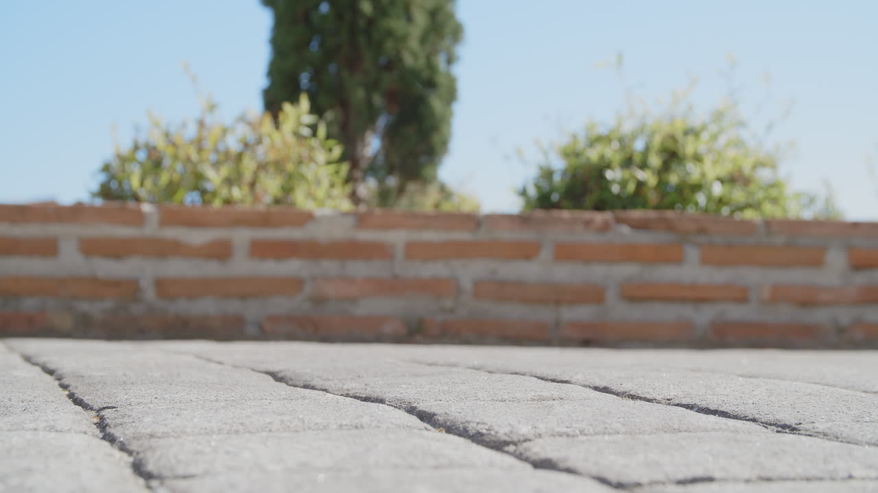 낮은 각도의 바퀴와 브레이크 디스크 샷으로 오토바이를 타다