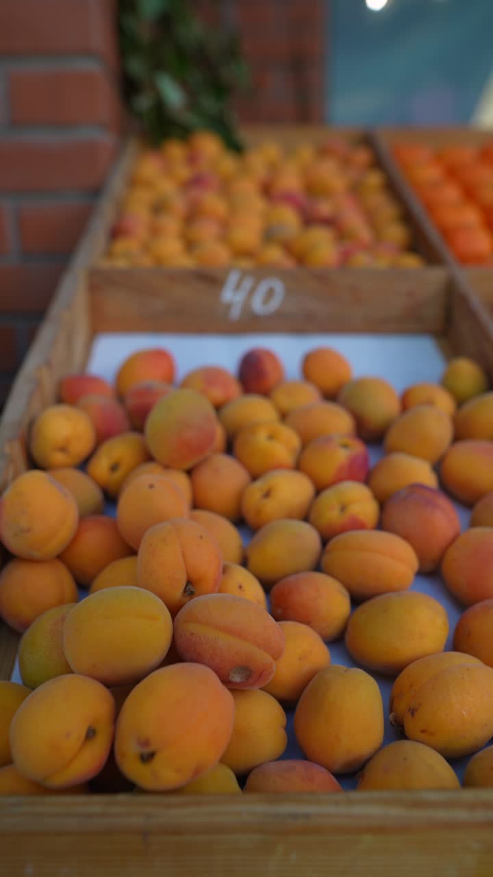 Abricots frais au marché