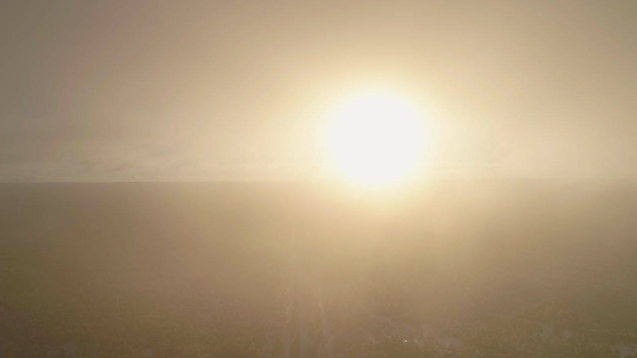 antena a través de la niebla de la mañana para revelar la carretera que atraviesa el bosque congelado, 4k