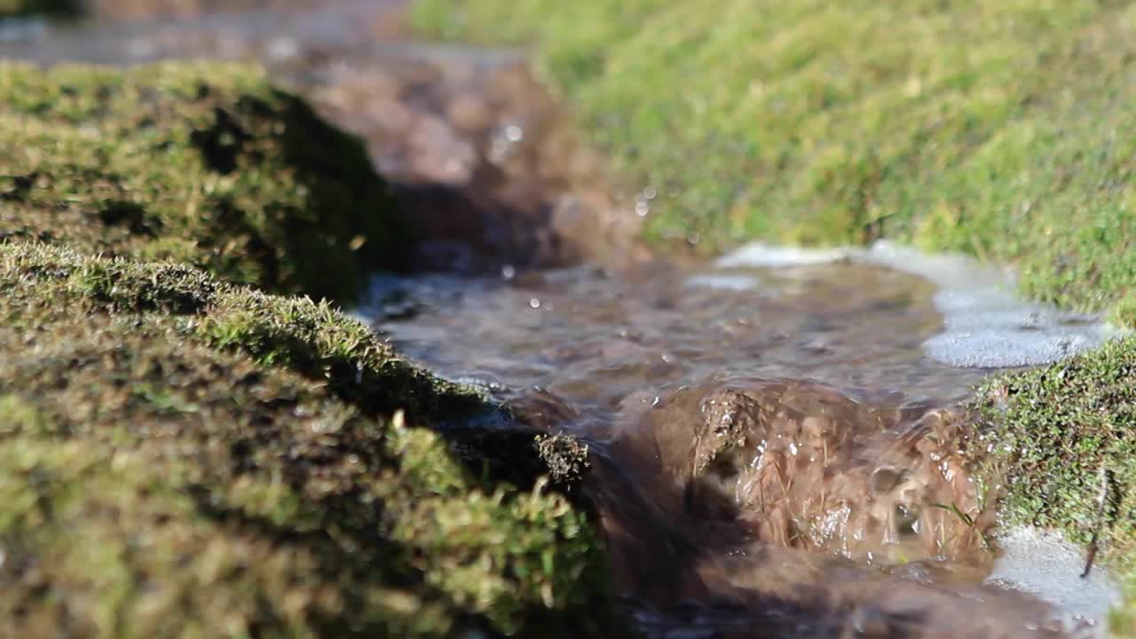 Bubbling brook outside village