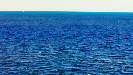 wide-angle capture of the baltic sea on a bright, sunny summer day, showcasing its deep blue hues and subtle sparkling waves beneath a clear, light horizon