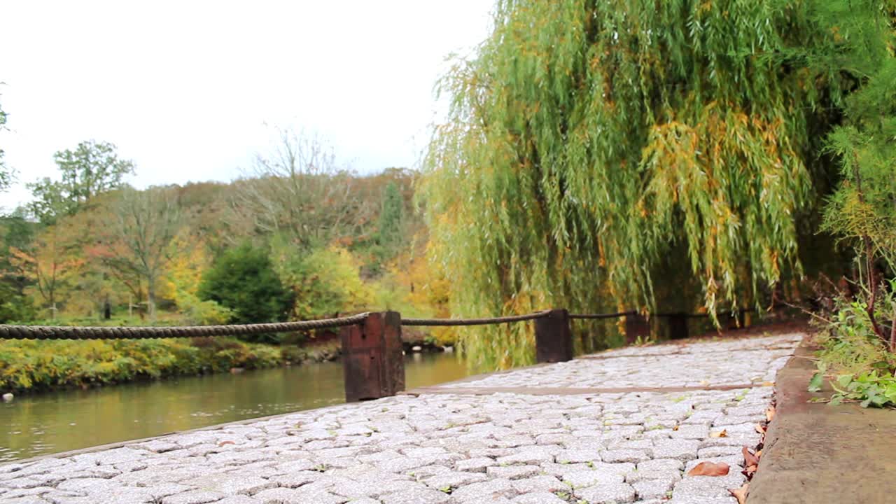 공원 숲에서  ⁇ 고 있는 젊은 남자