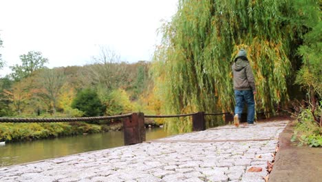 Joven-Caminando-En-El-Bosque-Del-Parque