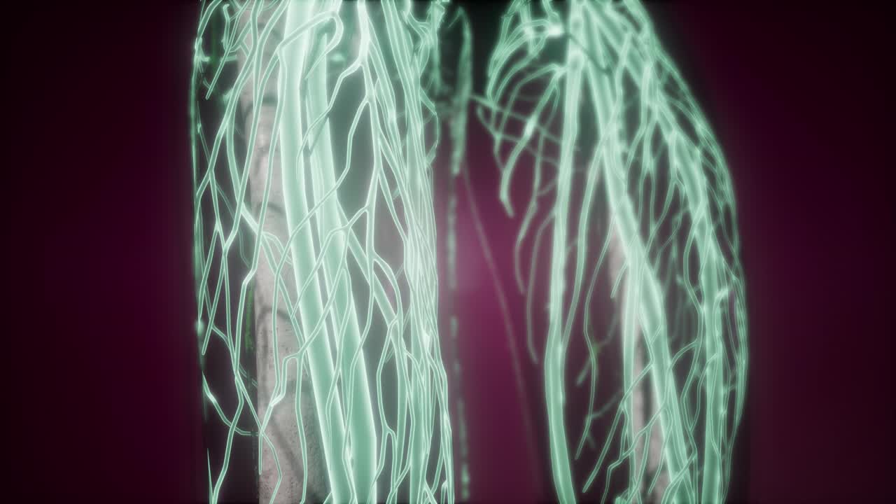 cuerpo humano con vasos sanguíneos brillantes