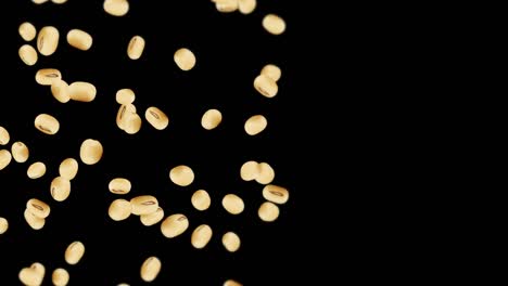 volando muchas soja en fondo negro. granos marrones claros. soja y soja. comida saludable. animación de bucle 3d de soja girando.