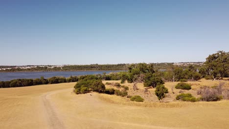 árboles y tierra con vistas a un lago azul profundo joondalup en el fondo