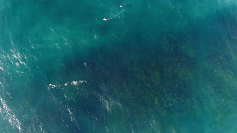 abstract aerial of shifting ocean colors as lineup drifts in open water beyond reef and break zone