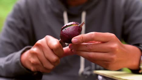 Person-cutting-mushroom-in-nature