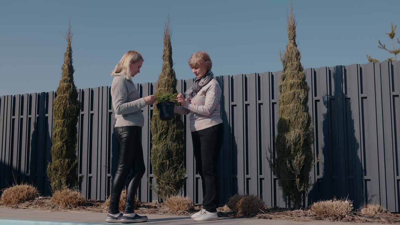 여자 들 이 함께 나무 를 심는 것