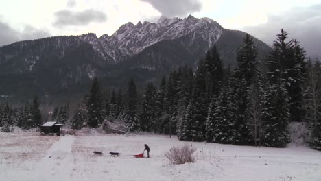 sled dogs pull a rider across a frozen landscape 2