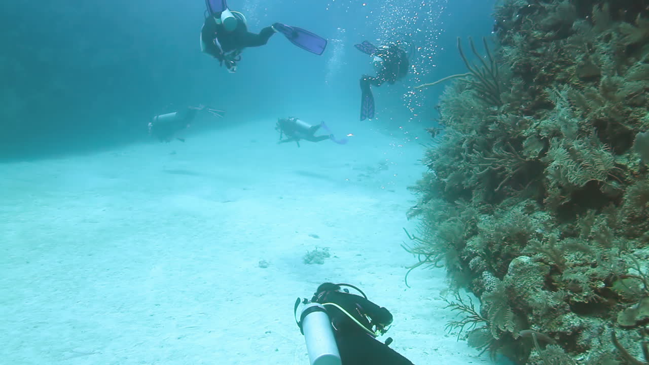 buceo cozumel 09