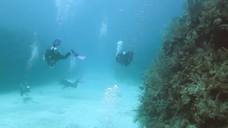 Cozumel-Dive-09