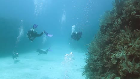buceo cozumel 09