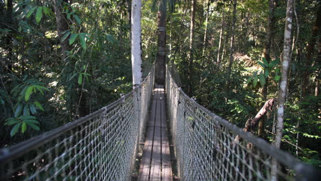 wooden hanging bridge in a tropical forest with bamboo rainy day martinique