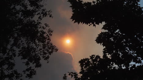 Sonne-Durch-Die-Wolken-Und-Die-Silhouetten-Der-Blätter-Der-Bäume