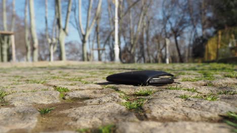 lost wallet on a cobblestone path