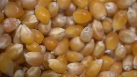 imagens de close-up de pipocas cruas em câmara lenta
