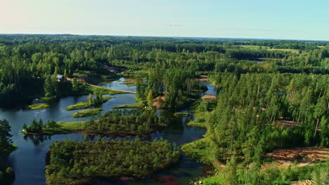 aerial flyover marshland forest in latvia, amatciems