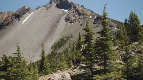 Girl-and-black-lab-on-mountain-hike-in-the-summer