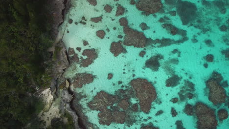 aerial top down view of secluded turquoise beach and coral reef in new caledonia