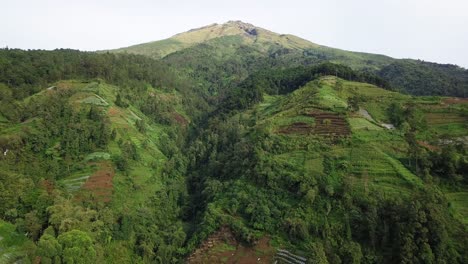 Flyover-slope-of-Sumbing-Mountain-with-view-of-vegetable-plantation-and-forest---Sumbing-MOuntain,-Indonesia