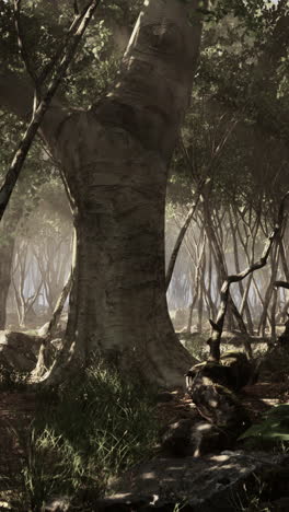 una escena misteriosa en el bosque.
