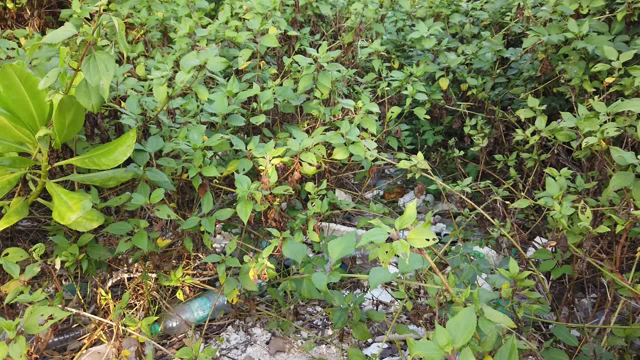 배경에 보이는 화산 해변에는 관광 산업 요구 사항에 따라 섬으로 가져온 플라스틱 병이 흩어져 있습니다.