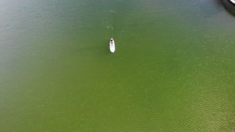 sup boarder paddling on green water passing boat drone footage