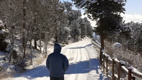 A-single-man-walking-down-a-snow-covered-driveway-during-winter-away-from-next-to-the-camera