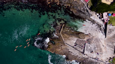 Aerial-dolly-overhead---kayakers-leave-rocky-shore-with-kelp-forests