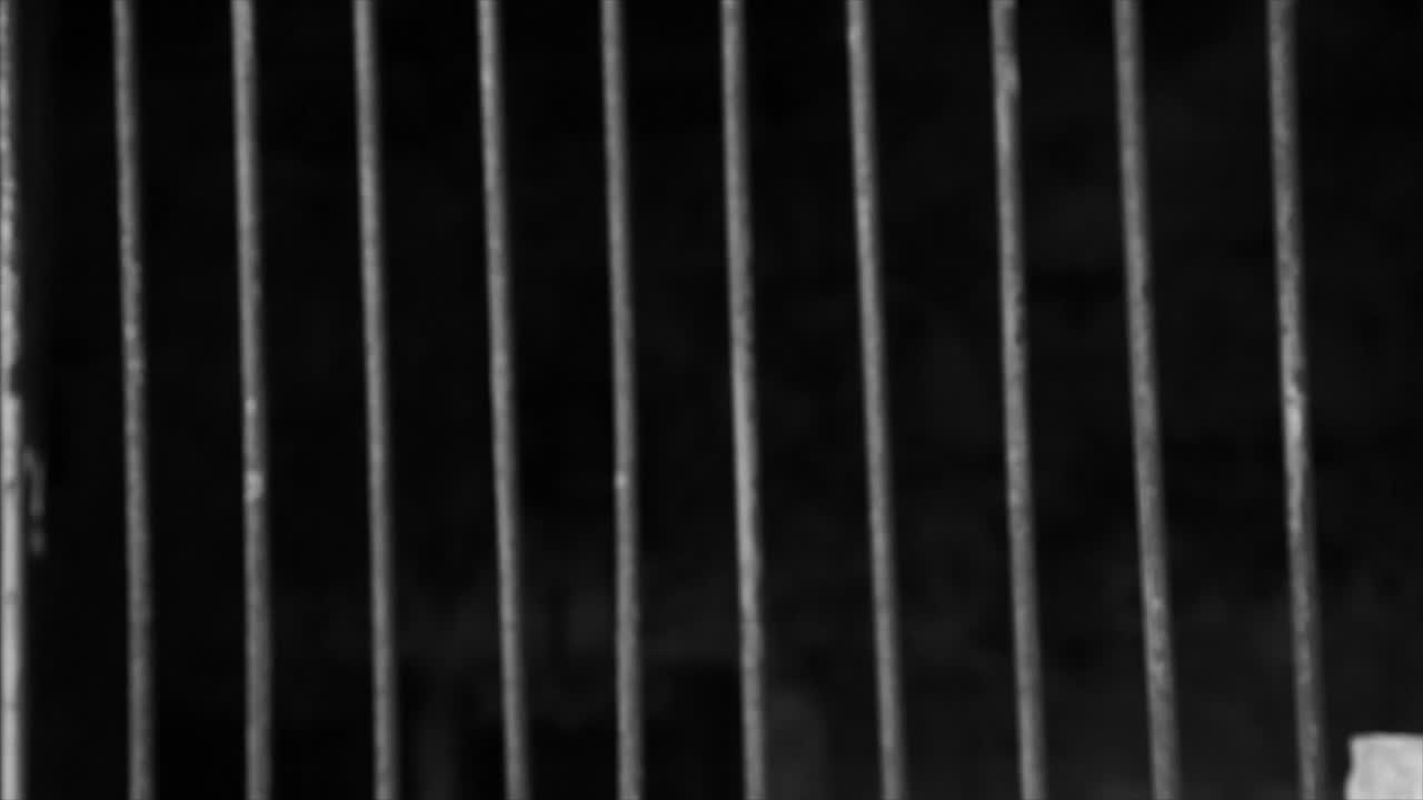 Metal Bars