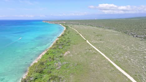 vista aérea de la impresionante costa, el mar y la playa de bahía de las águilas en la república dominicana