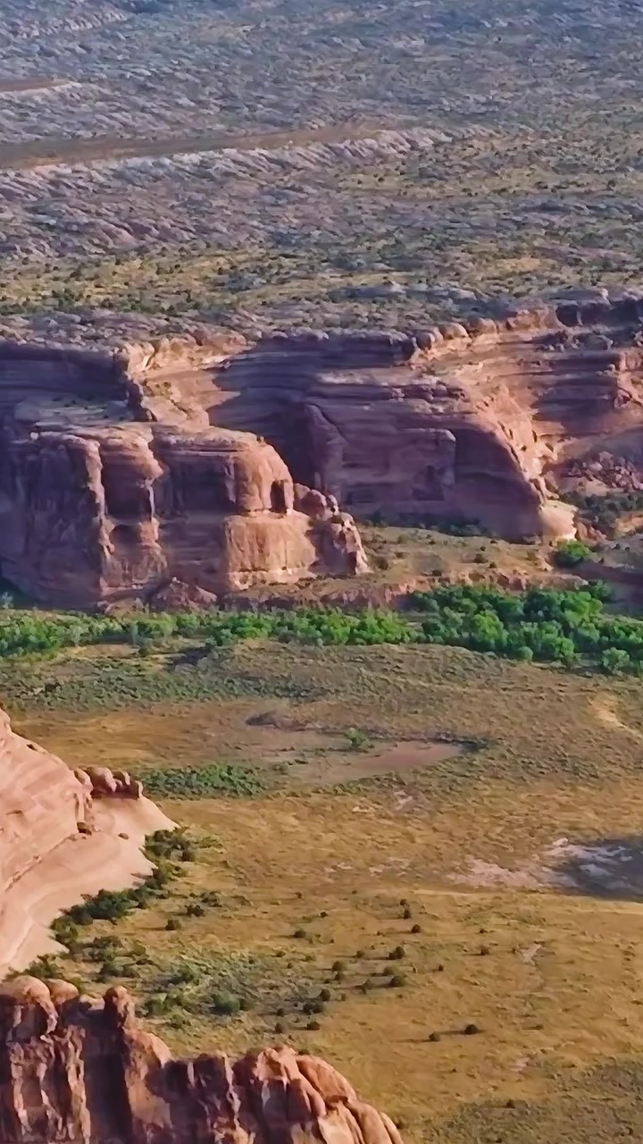 Paesaggio del Mojave con canyon, piante desertiche e formazioni geologiche
