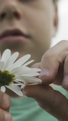 child examining a daisy flower