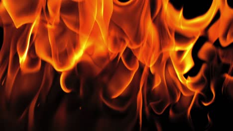 Fire-burning,-black-background.-Usable-also-as-overlay