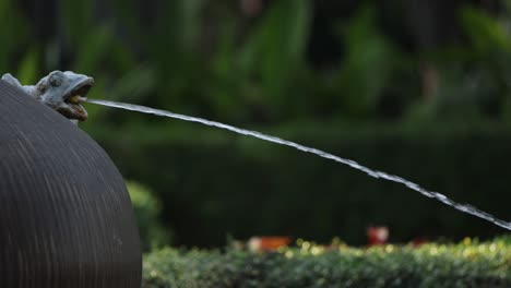 water streams from frog statue fountain