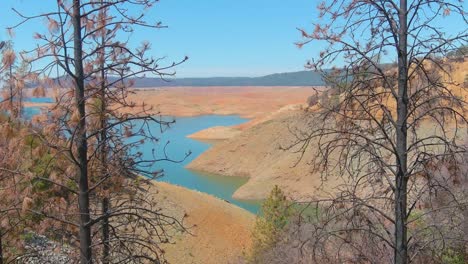 rising aerial over drought stricken california lake oroville with low water levels, receding shoreline and burned trees and forests