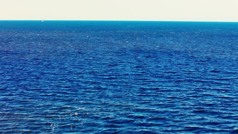 calm, rippling deep blue sea expands toward the horizon under a soft sky, capturing the simplicity and vastness of open water in natural light.