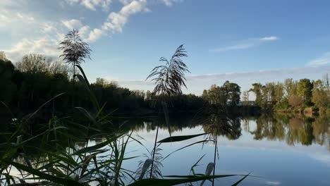 Reflektierender-Teich-Bei-Tag,-Kameraschwenk