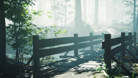 wooden bridge into forest with river
