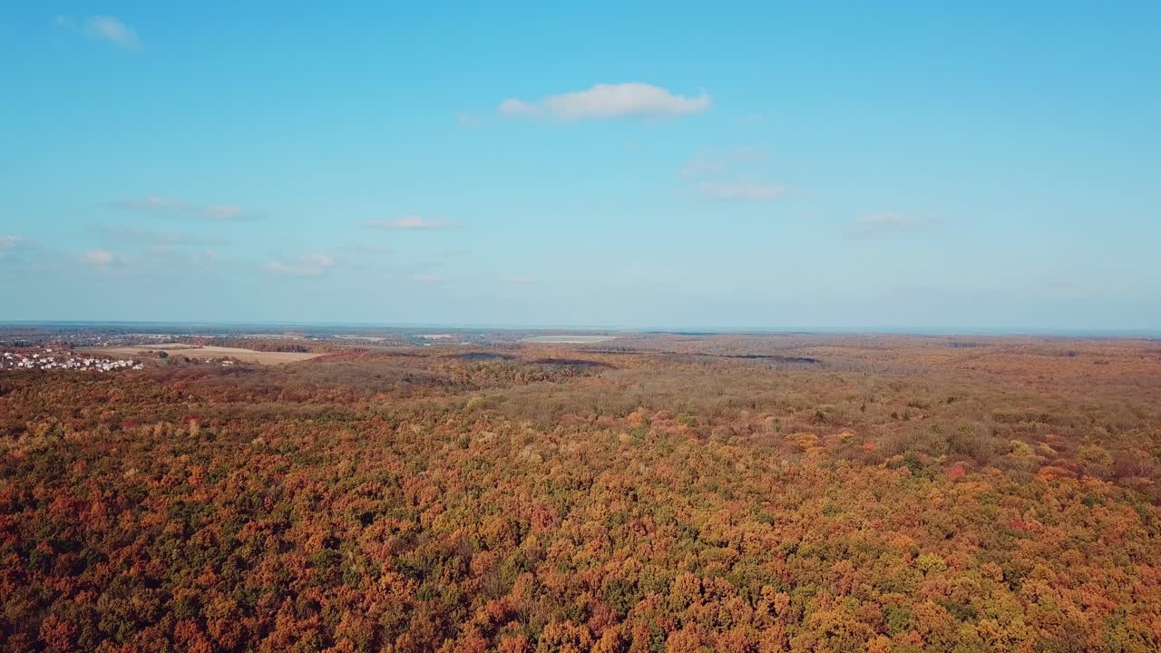aerial view of autumn landscape of park on the background of a blue sky.