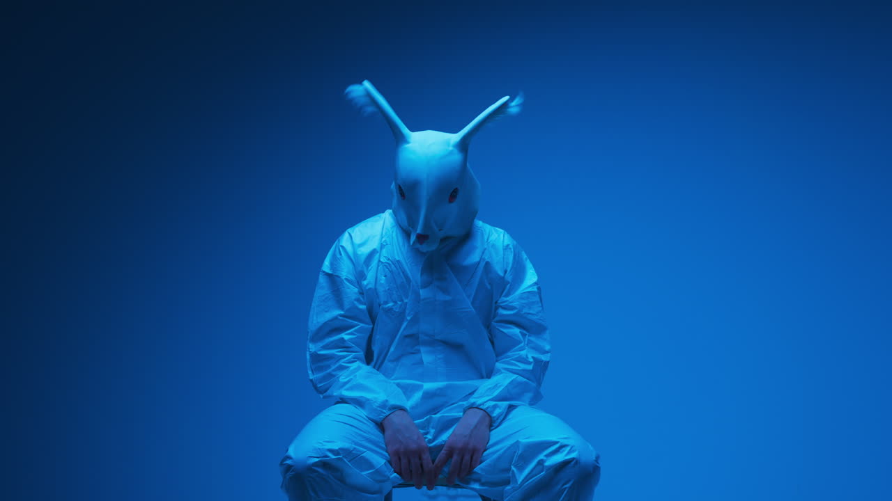 Person wearing a rabbit mask and sitting in a studio