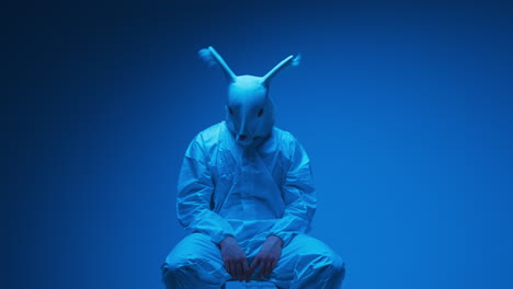 person wearing a rabbit mask and sitting in a studio