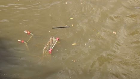 a shopping cart partially submerged in murky canal water, surrounded by floating debris, under natural daylight