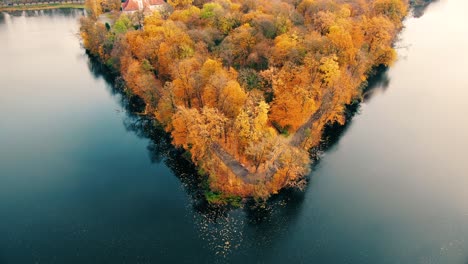 AERIAL-forest-in-amazing-autumn-shades-with-road-hiding-under-treetops